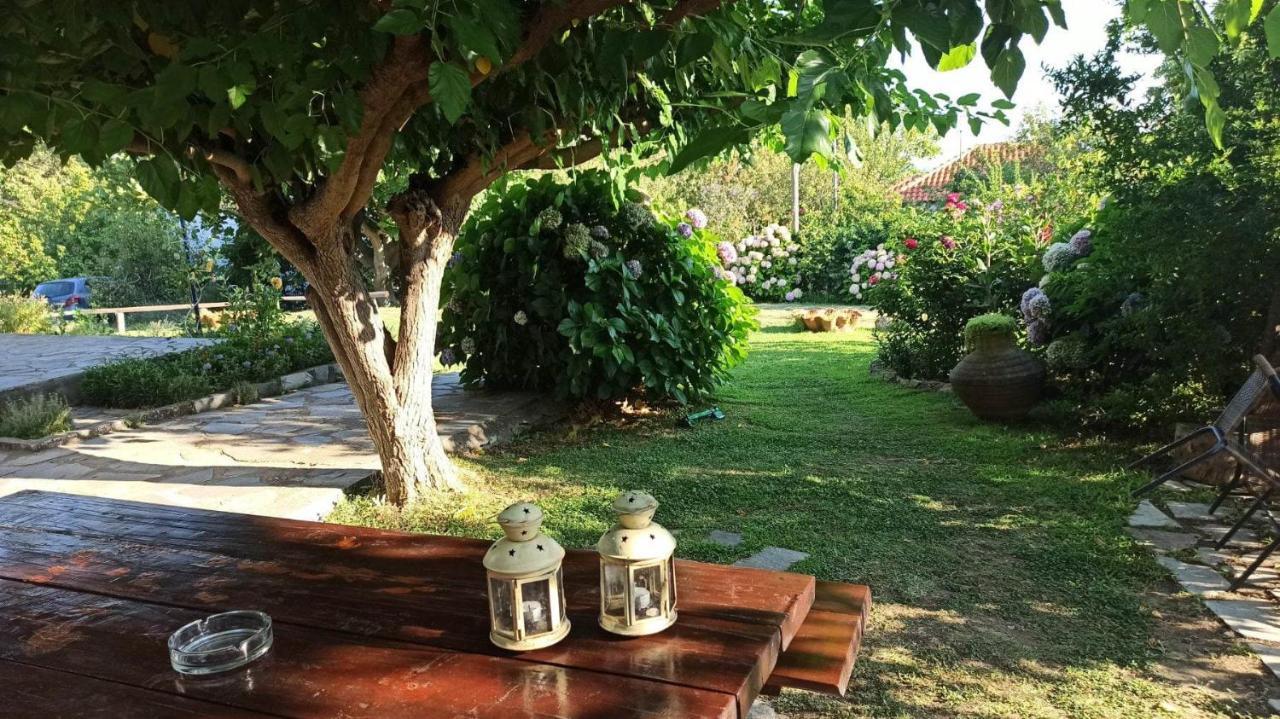 Mirsini Apartments Kariotes Luaran gambar