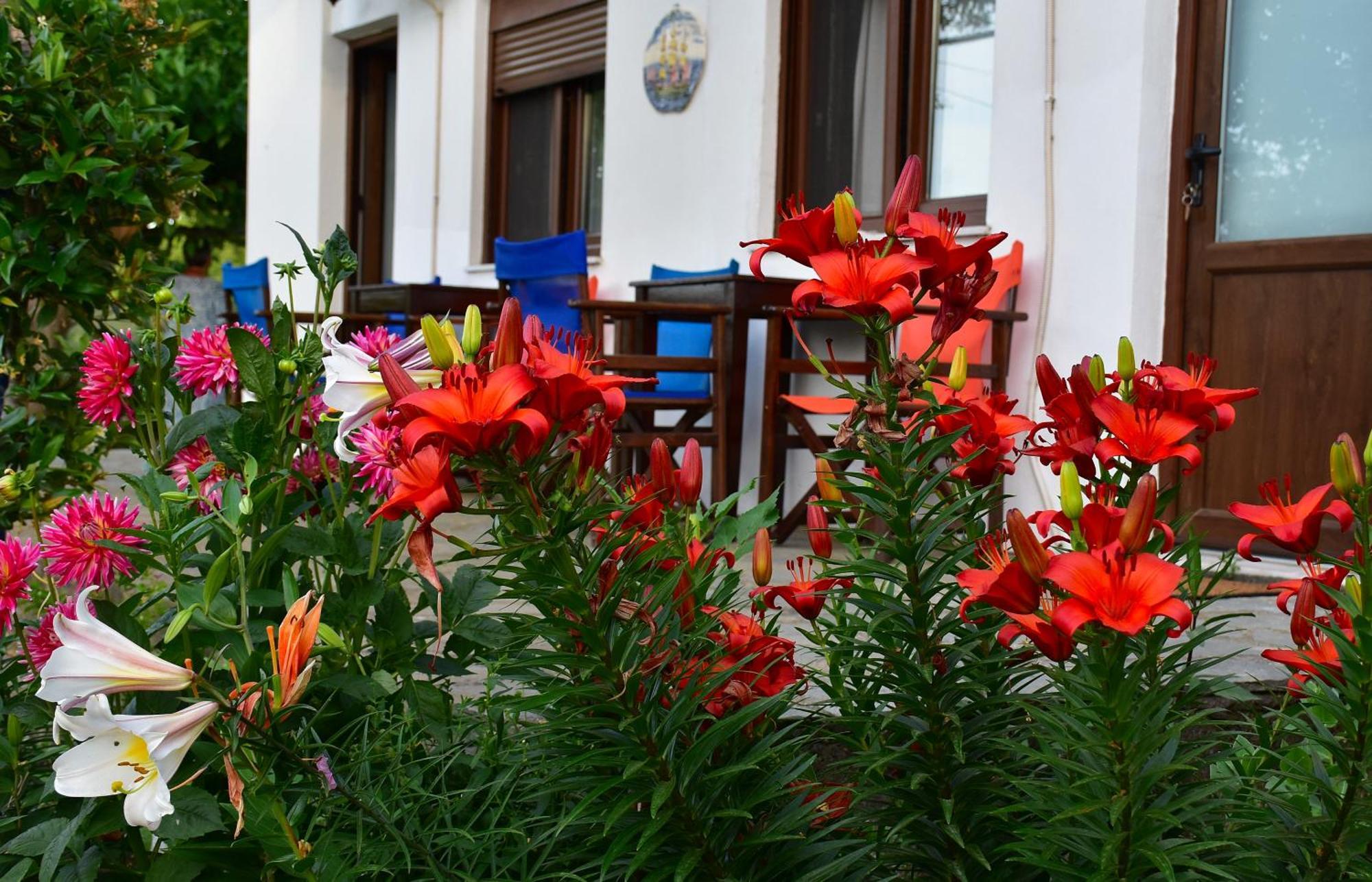 Mirsini Apartments Kariotes Luaran gambar